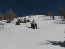 Klik za večjo sliko